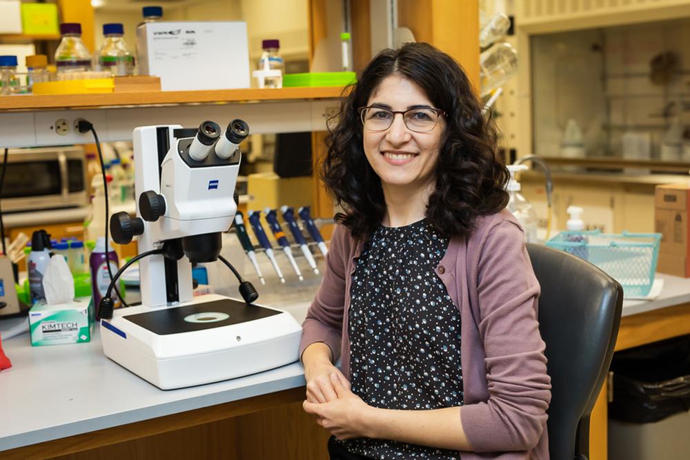 Oriana Fisher sitting in her lab near a microscope